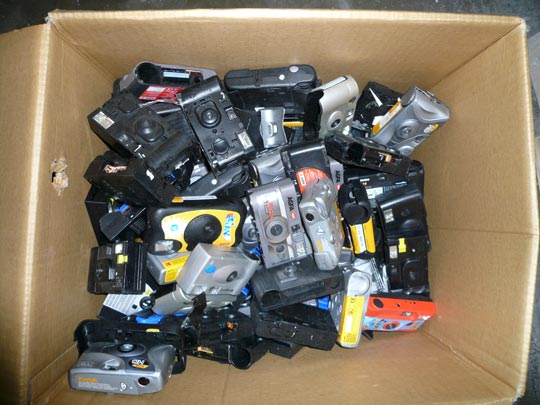  ALICIA OTAEGUI _ fosa común 