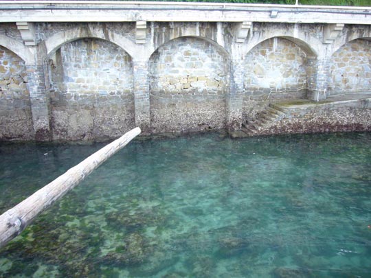  ALICIA OTAEGUI _ foto fálica 