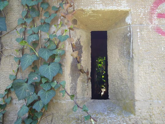  ALICIA OTAEGUI _ fuera 