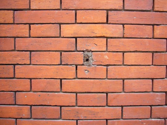  ALICIA OTAEGUI _ gazapo 