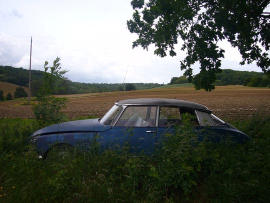  ALICIA OTAEGUI _ ha sido un placer 