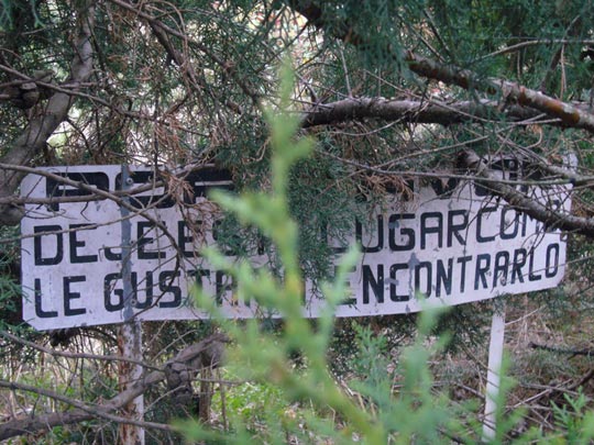  ALICIA OTAEGUI _ jeroglífico 