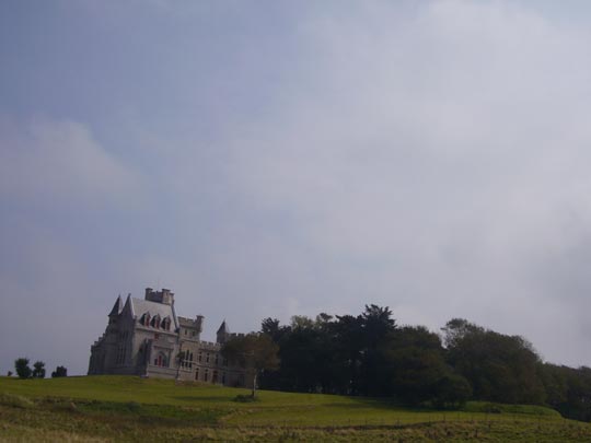  ALICIA OTAEGUI _ la casa de pisa 