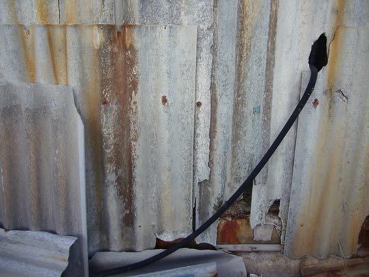  ALICIA OTAEGUI _ la fuga del espermatozoide 