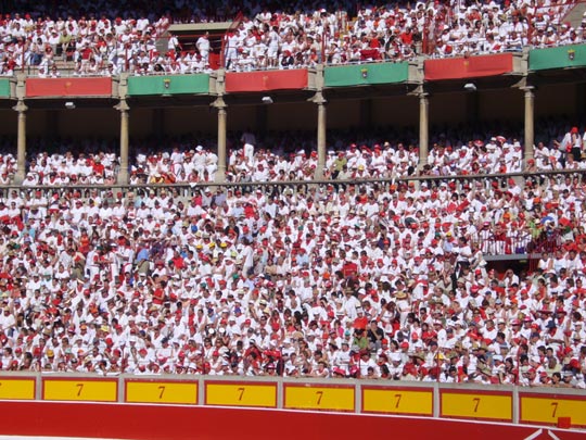  ALICIA OTAEGUI _ las banderas también llenas 