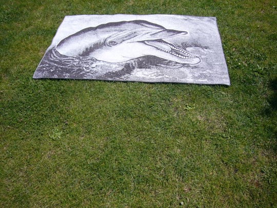  ALICIA OTAEGUI _ las vacaciones de flipper 