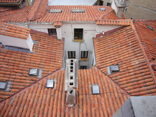  ALICIA OTAEGUI _ mi vida como un gato 