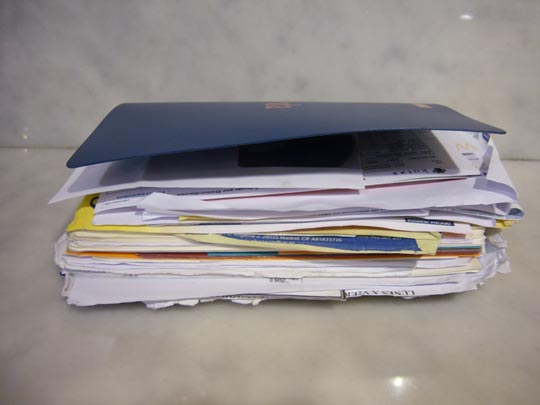  ALICIA OTAEGUI _ obesa de intenciones 