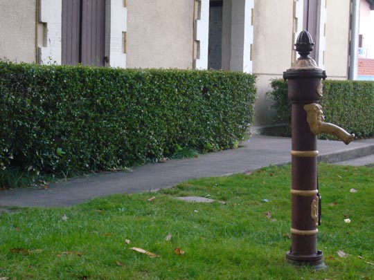  ALICIA OTAEGUI _ para mayores de 18 