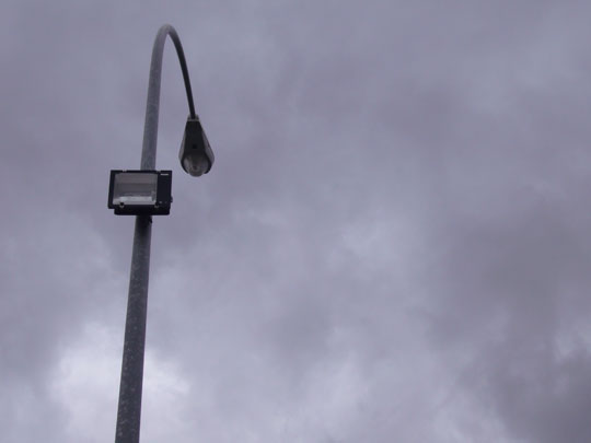  ALICIA OTAEGUI _ parásito 