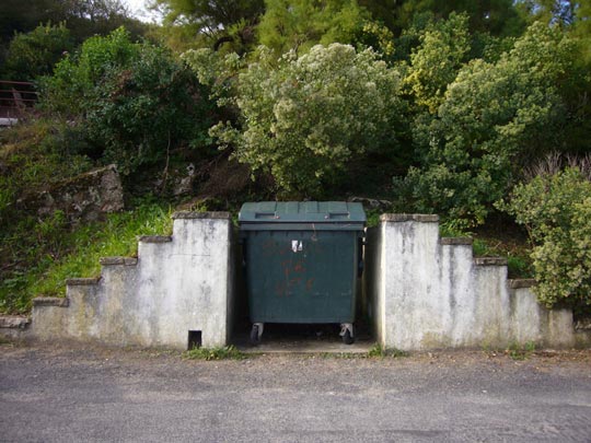  ALICIA OTAEGUI _ pódium 