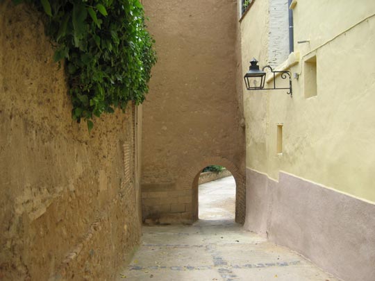  ALICIA OTAEGUI _ ratonera 