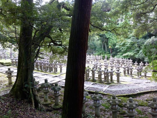  ALICIA OTAEGUI _ setal 