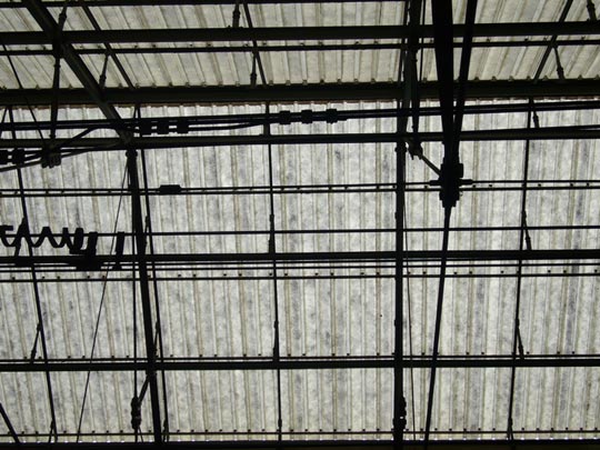  ALICIA OTAEGUI _ sinfonía del nuevo mundo 