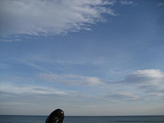  ALICIA OTAEGUI _ tiburón a la vista 