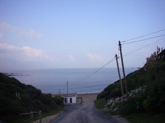  ALICIA OTAEGUI _ tobogán 