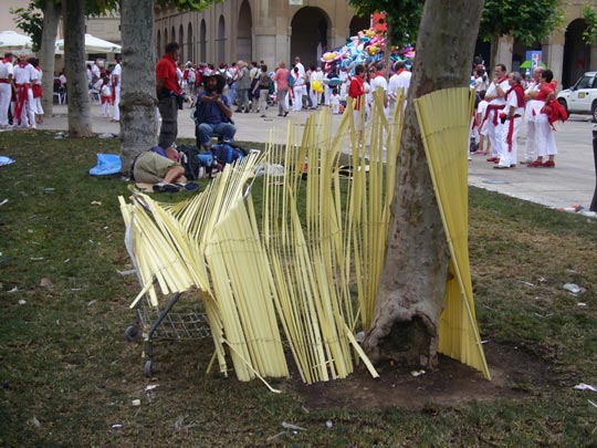  ALICIA OTAEGUI _ tornado 7 de julio 