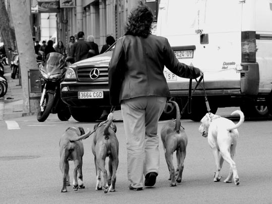  PAU COSTA _ culos callejeros 