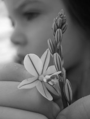  PAU COSTA _ flor 