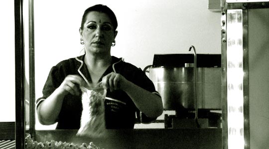  PAU COSTA _ misis palomitas 