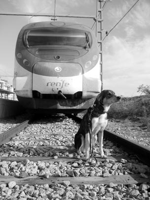  PAU COSTA _ pa chulo yo 