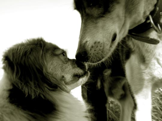  PAU COSTA _ relaciones bup-licas 