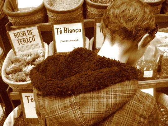  PAU COSTA _ rosa de jericó 