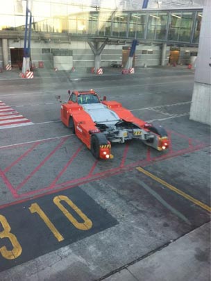  RAQUEL SANCHEZ SILVA _ estos bichos de aeropuerto 