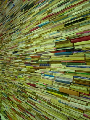  ANDRÉS RODRÍGUEZ _ woolrigh wall of books 