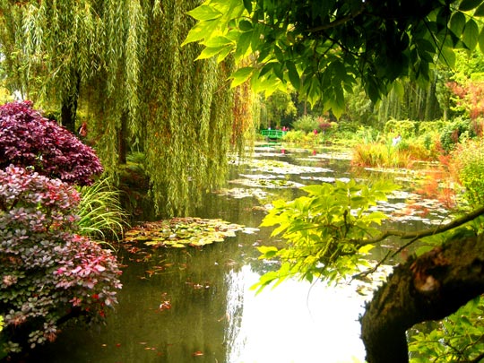  RUTH JIMENEZ _ jardín de agua, monet. giverny (2) 