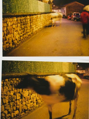  SARA COSTA _ arenas de iguña 