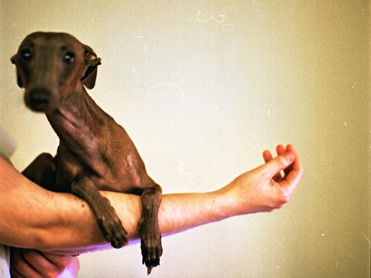  SARA COSTA _ bodegón (2) 