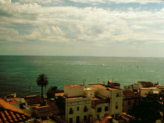  SARA COSTA _ en fila 