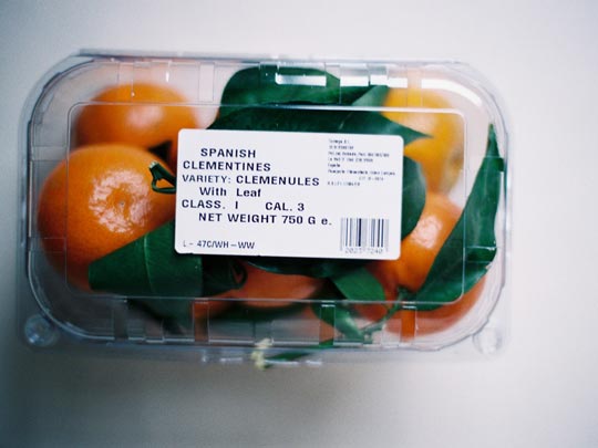  SARA COSTA _ from spain: spanish clementines 