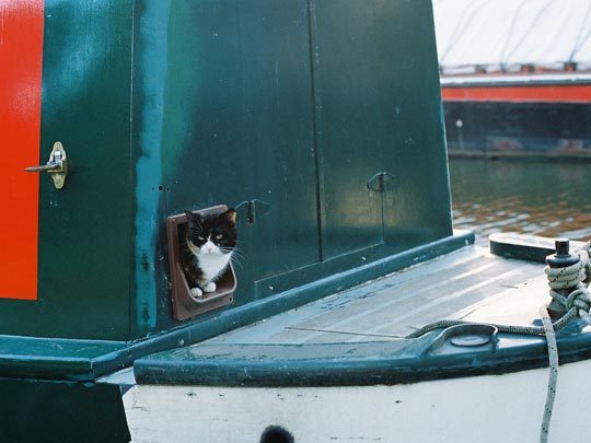  SARA COSTA _ gatera en barco de canal 