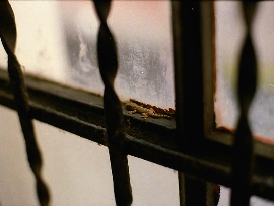  SARA COSTA _ la vecina 