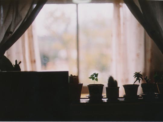  SARA COSTA _ macetas 