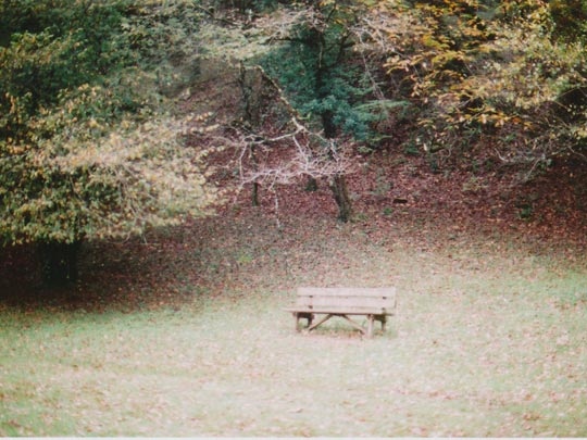  SARA COSTA _ no espero más 