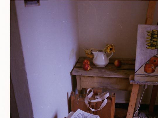  SARA COSTA _ reencarnación 