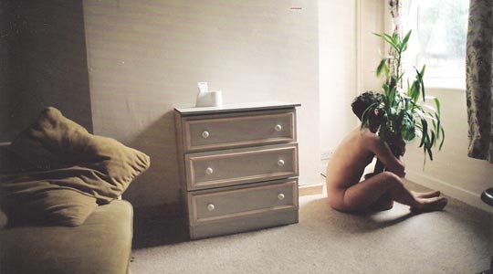  SARA COSTA _ rescued plant 