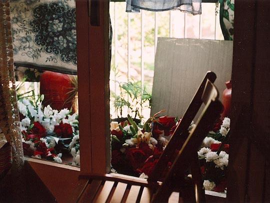  SARA COSTA _ tus flores en el balcón 
