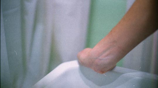  SARA COSTA _ verde y su complementario 