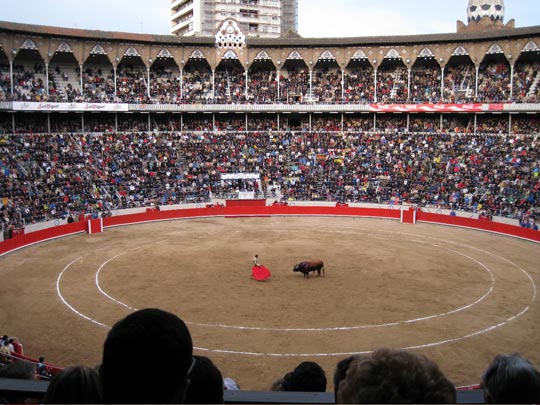  SERGIO MILLÁN _ ¿cómo estaba la plaza? 