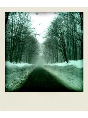  THE JAPAN PHOTO PROJECT _ last days of snow 