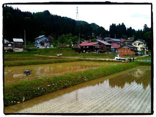  THE JAPAN PHOTO PROJECT _ plantando arroz 