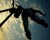  [CAPTURA / jump] 