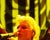  [CAPTURA / fantástika blondie] 