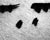  [CAPTURA / no llores dibujo] 