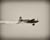  [CAPTURA / red bull air race] 