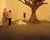  [CAPTURA / árbol muerto] 